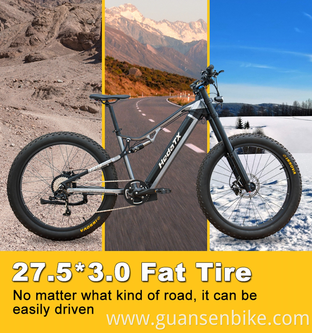 Electric Fat Tire Bike With Battery